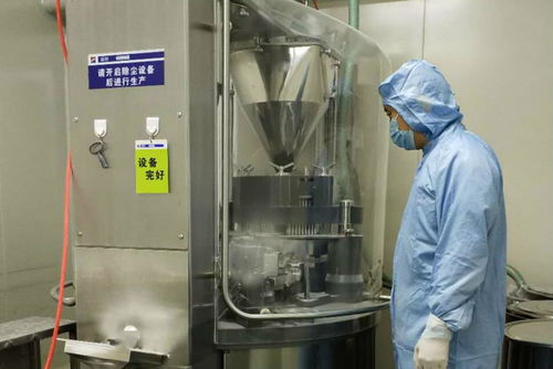 金花制藥廠(chǎng)順利完成GMP符合性自檢工作，全面承接總公司核心業(yè)務(wù)